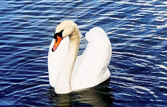 10 Person Holiday Home in Stathelle-by Traum - Foto 1