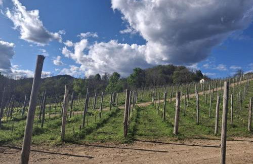 Alle porte del Monterosa - Foto 18