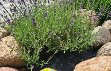 Domek nad Zalewem - Foto 12