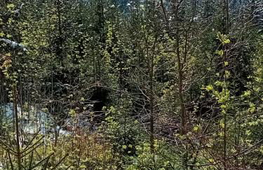 Haus Hinzberg - Photo 24