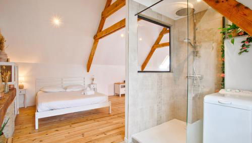 La suite Nacrée - Magnifique Studio - Photo 5, Shower