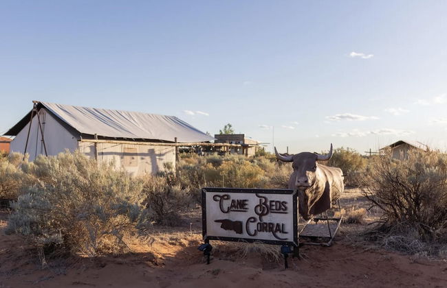 Cozy Glamping Retreat Between Zion & Bryce Canyon - Photo 11