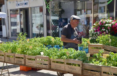 Cottage Mackinley, séjour spacieux et chaleureux, salon de jeux, grande salle à manger, 15 pers, Centre Historique, gare TER - Foto 50