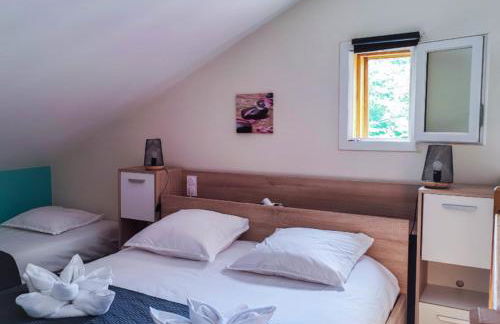 Village Drôles d'Oiseaux - Photo 12