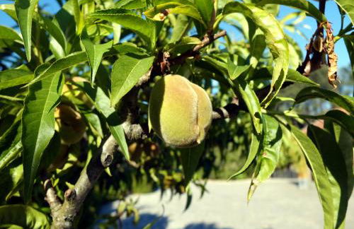 Family Secrets Douro - Foto 53