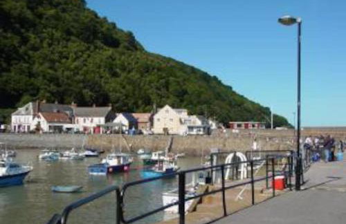 Minehead Forget me not Cottage - Photo 21