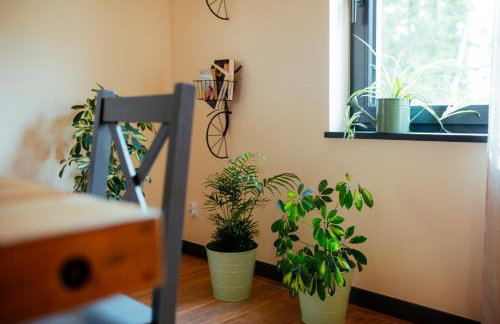 WYWIAŁOWO - Foto 14