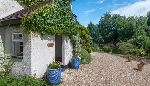 Brokan Fourwinds - Foto 3