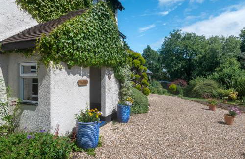 Brokan Fourwinds - Foto 3