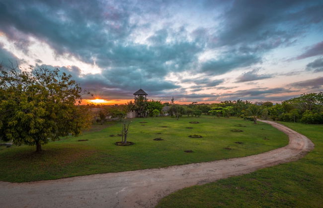 Shamba La Salama - Foto 19