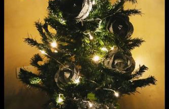 Casa Amarela Ecoloft Brasil 88 - Foto 48