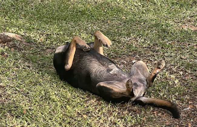 VILA DEL MARE - Foto 2