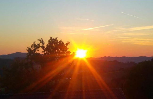 Garden Escape, Kleinwinklarn - Foto 36