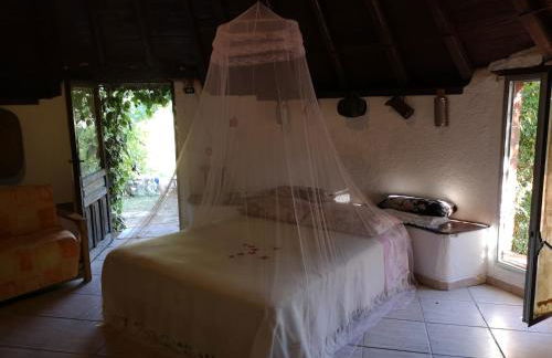 Pinnettu sardo tipica abitazione sarda in ecosistema insetti e animaletti simpatici in condivisione bagno esterno a 10metri Leggere attentamente Prima di prenotare - Foto 6