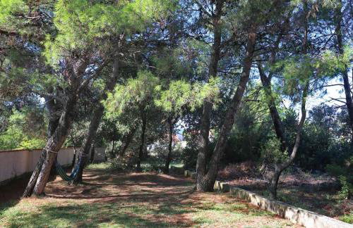 Holiday house Casa Nostra - Foto 22