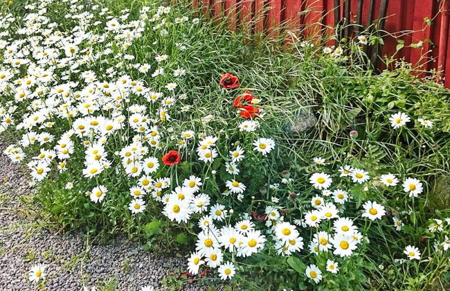 Holiday Home in Gedser - Foto 26