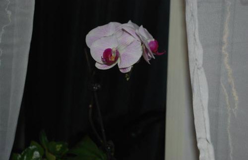 Dom Chotomów - Foto 13