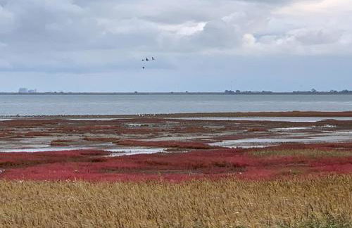 Bi uns to hus - Morgensünn - Foto 20