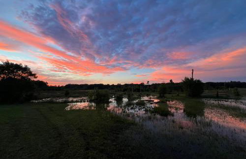 Elysium III - Foto 16