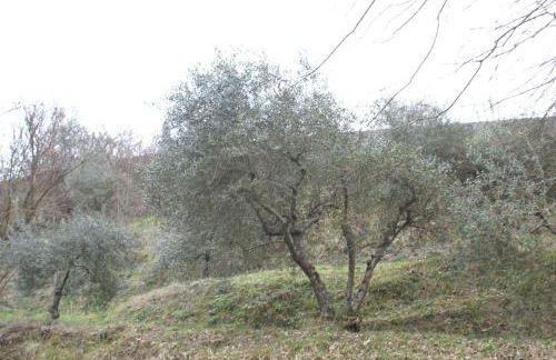 Tradizione Toscana ristrutturata nel 2021 - Foto 74