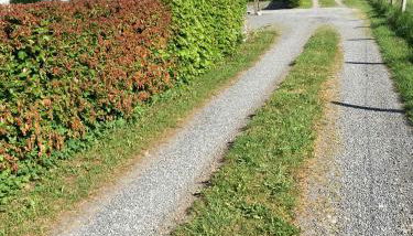 MONzeit - Foto 2, Garden