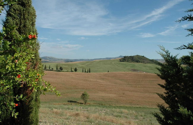 Modern Farmhouse in Pienza With Pool - Foto 76