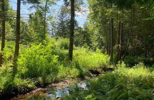 Secluded Farmhouse Near Okemo, Bromley, Sunapee - Foto 30