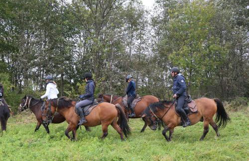 Ropuszy Dwór - Foto 47