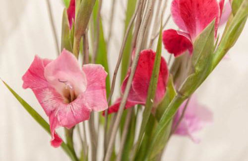 PASSAU mittendrin - Foto 22