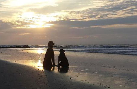Folly Vacation 114A Townhouse near the beach, pet friendly - Foto 39