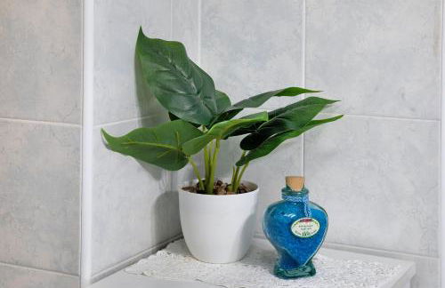 Oasi Alpina - Foto 36