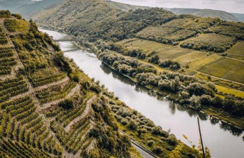 Apartment in Zell an der Mosel - Foto 10