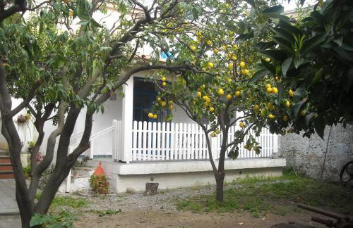 Gigia's House - Photo 57