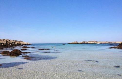 Résidence I22-ile Grande - Les Mouettes maison vue mer jardin et parking privé, plage à pied MAE-3734 - Foto 12