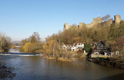 Lucea Cottage - Foto 44