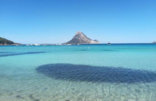 B1 Lu Maestrali 1Piano - Foto 6