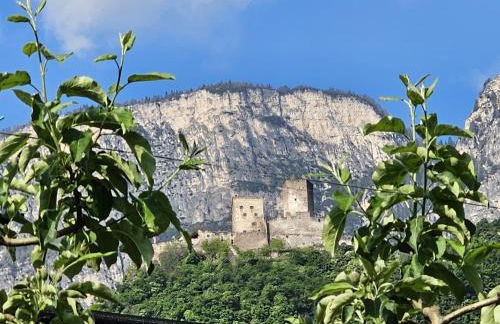 Versigglhof - Foto 76