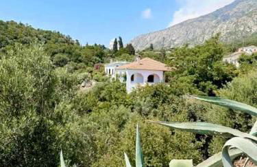 Paradisos House - Foto 12