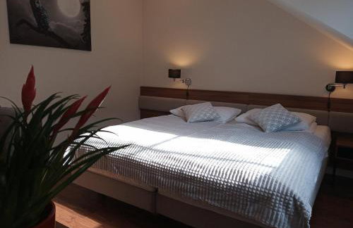 Ranczo Czerwony Młyn & Spa - Foto 14