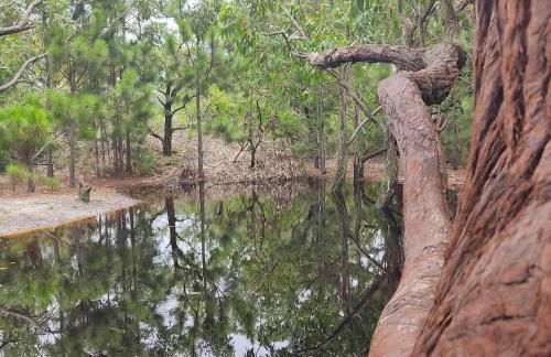 Apartamento Vila dos Sábias - Foto 27