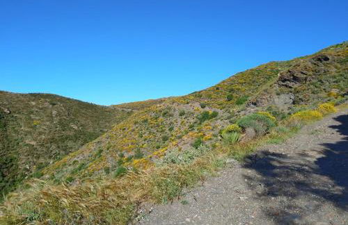 Cedra 5, Holiday home, cosy apartment - Photo 43