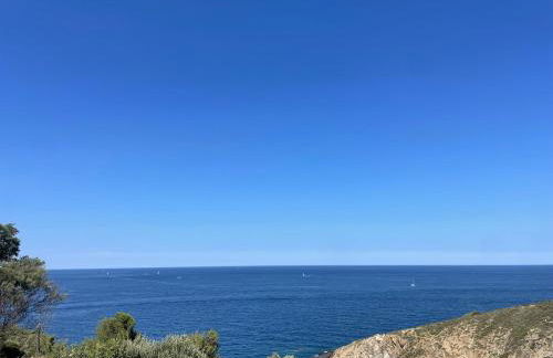 Studio cabine à Banyuls-sur-Mer avec terrasse - FR-1-309-210 - Foto 2