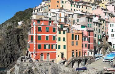 Pepita di Rio - Foto 27