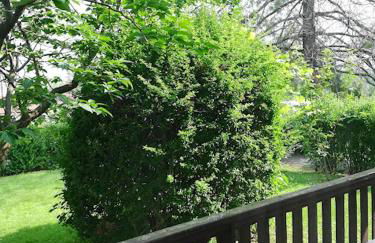 La Vache Qui Roule -CIR Charvensod 0037 - Foto 28