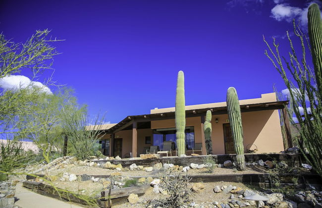 Tanque Verde Ranch - Photo 70