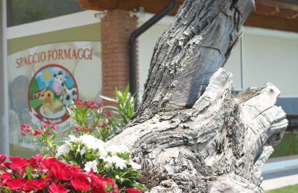 Agriturismo Fattoria Monte Baldo VISTA LAGO - Foto 18