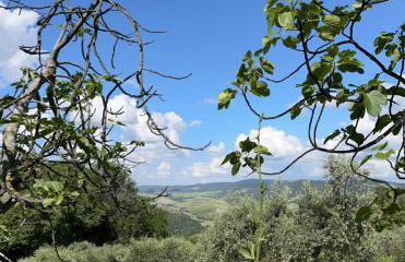 Casa di Coraggio - Foto 36