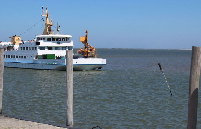 Apartment Deichvogt, Nessmersiel - Foto 18