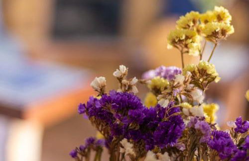 Casa Azul - Photo 20