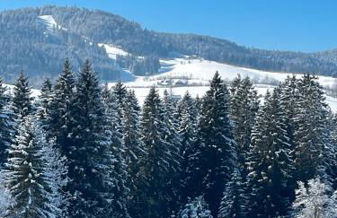 Ferienwohnung Dachtler - Foto 34